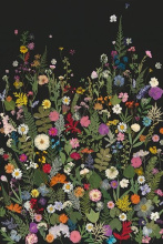 Art by Park 52GCBA1495 - Night Scent I