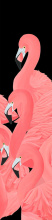 Art by Park 52GCHP0277 - Flamboyance of Flamingos IV