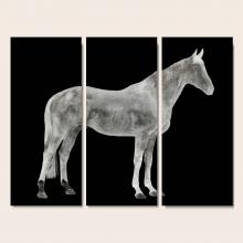 Art by Park 52GCJH0191/0190/0189 - Twilight Cheval I,II,III Set of 3