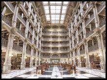 Art by Park 617094-4050 - Bookworm Delight