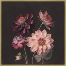 Art by Park 618140-2424 - Dahlia Elegance 2