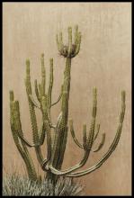 Art by Park 620388-3654 - Modern Nest