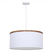 True Light Co. D624WH-22WW - Copeland Pendant