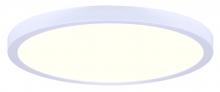 True Light Co. DL15A30FC5WH-C - Iggy Flush Mount