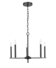 True Light Co. TRC975524BK - Chandelier
