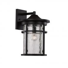 True Light Co. 40381 BK - Janis Outdoor
