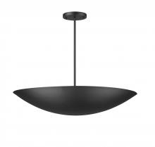 True Light Co. TRP335839TBK - Dunaway Pendant
