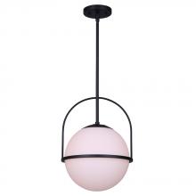 True Light Co. IPL654B01BK - Berry Pendant