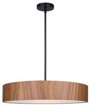 True Light Co. IPL318A04BKW22 - Townsend Pendant
