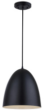 True Light Co. IPL2234B01BK - Hugo Pendant