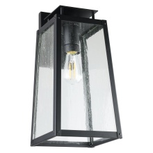 Thesis 207131A - 1L Exterior Wall Sconce / Murale exterieure 1L