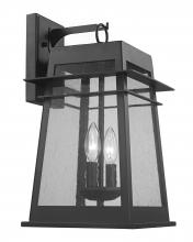 Trans Globe 51021 BK - 2LT OUTD WALL SEEDED GLAZE-BK