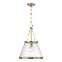 Capital 355312AD - 1 Light Pendant