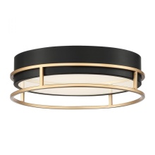 Eurofase 39315-014 - GRAFICE-FM-13IN-GBM