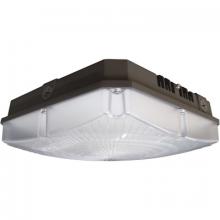 Nuvo 65/146 - LED Canopy Fixture; 60W; 4000K; 120-277V; Bronze Finish