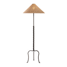 Troy PFL5164-FRN - Francisco Floor Lamp