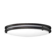 Lighting by Park 1302T-14BK-3CCT - Flush Mount