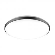 Lighting by Park A17031 - Flush Mount