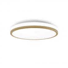 Lighting by Park A17087 - Flush Mount