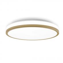 Lighting by Park A17089 - Flush Mount