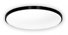 Lighting by Park A17039 - Flush Mount