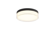 Lighting by Park C10022PC12BK - Flush Mount