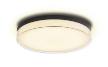 Lighting by Park C10022PC16BK - Flush Mount