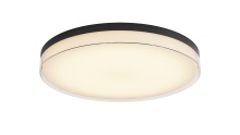 Lighting by Park C10022PC20BK - Flush Mount