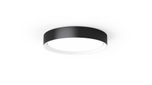 Lighting by Park C10061PC07BW - Flush Mount
