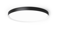Lighting by Park C10061PC15BW - Flush Mount
