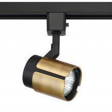 Kendal TLGU-32-BLK/BRS - GU-10 TRACK CYLINDER