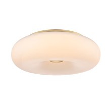 DVI DVP24338CPG-AO - PORTAGE FLUSHMOUNT