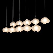 Hubbardton Forge 131203-SKT-STND-10-FD0710 - Ume 10-Light Pendant