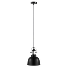 Eglo 202422A - 1L Pendant Light / Luminaire suspendu 1L