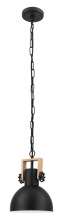 Eglo 204201A - 1L Pendant Light / Luminaire suspendu 1L