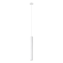 Eglo 204897A - 1L Pendant Light / Luminaire suspendu 1L