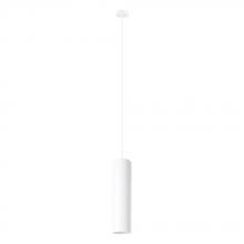 Eglo 204898A - 1L Pendant Light / Luminaire suspendu 1L
