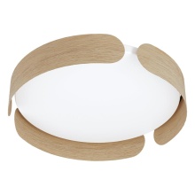 Eglo 205421A - LED Flush Mount / Plafonnier DEL