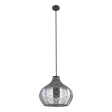 Eglo 205842A - 1L Pendant Light / Luminaire suspendu 1L