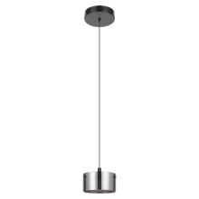 Eglo 206011A - LED Pendant Light / Luminaire suspendu DEL
