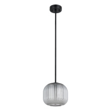 Eglo 206241A - 1L Pendant Light / Luminaire suspendu 1L