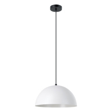 Eglo 206242A - 1L Pendant Light / Luminaire suspendu 1L