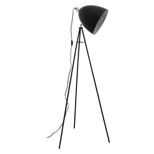 Eglo 39499A - 1L Floor Lamp / Lampe de plancher 1L