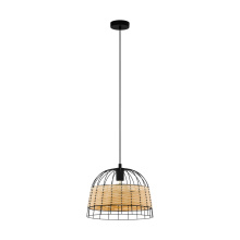 Eglo 43311A - 1L Pendant Light / Luminaire suspendu 1L