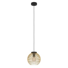 Eglo 900166A - 1L Pendant Light / Luminaire suspendu 1L