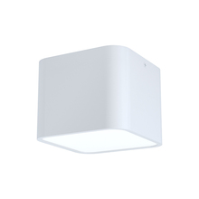 Eglo 99281A - 1L Flush Mount / Plafonnier 1L