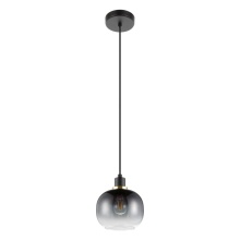 Eglo 99616A - 1L Pendant Light / Luminaire suspendu 1L